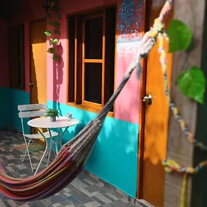  Guest house New Casa Dora